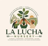 La Lucha Nursery