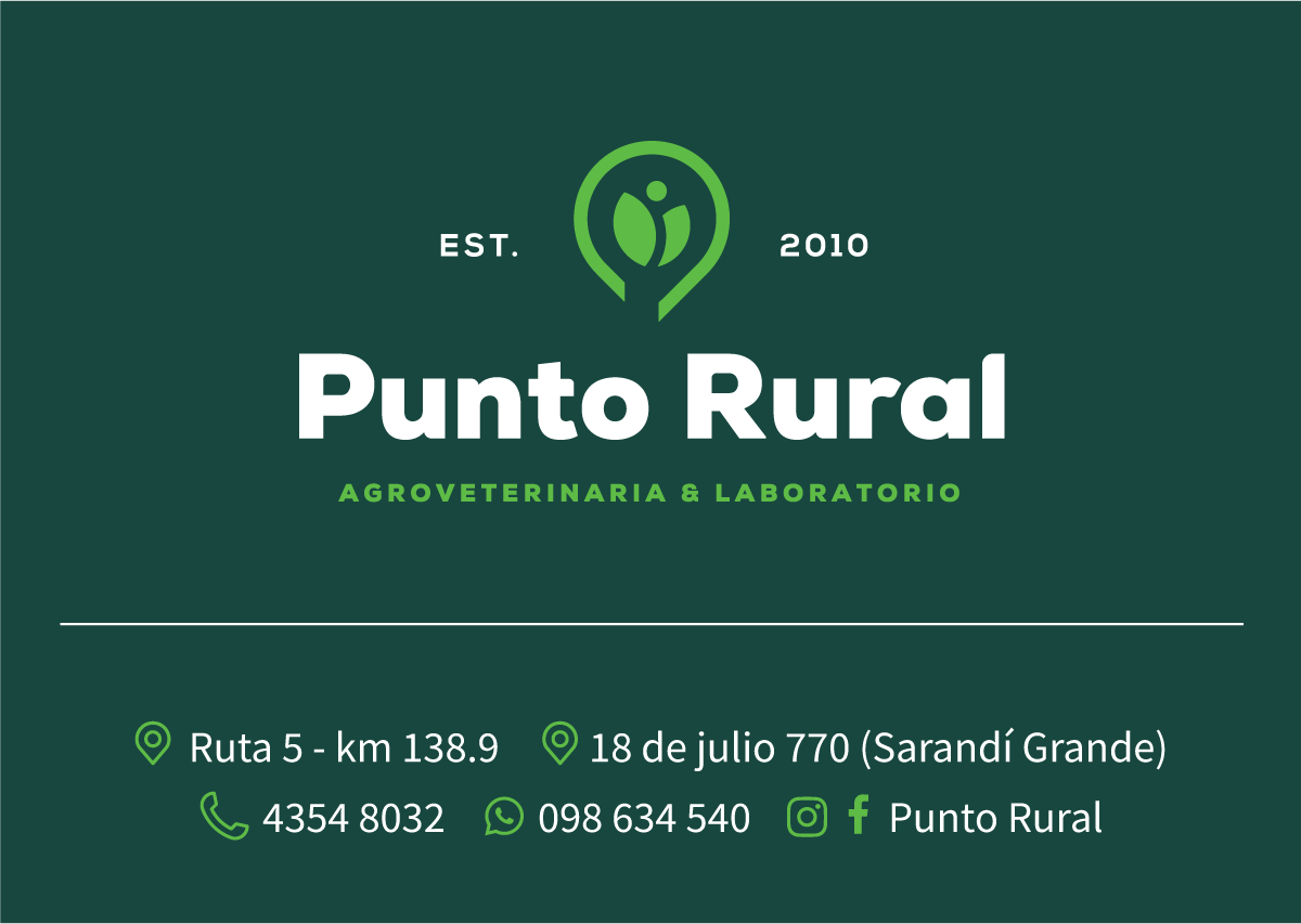Punto Rural