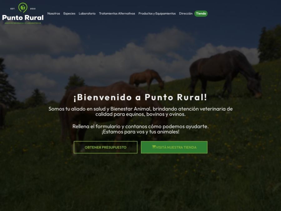 Sitio web de Punto Rural